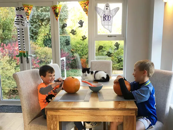 Two boys in a Halloween themed extension